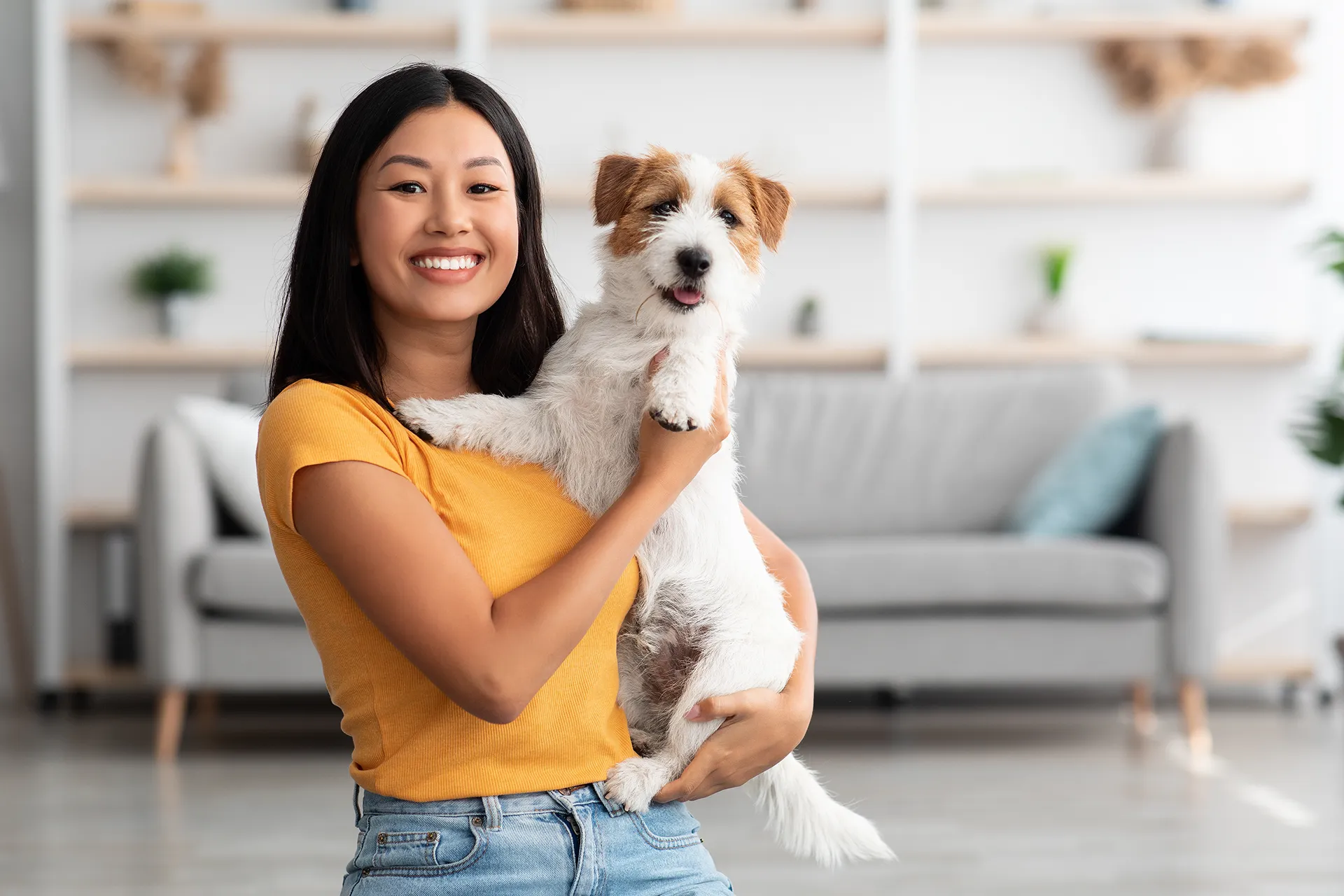 Pet Sitting Cuidamos do Seu Pet em Casa com Amor e Segurança